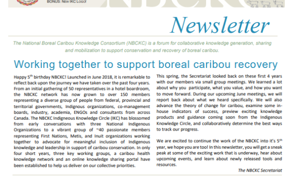 Newsletter cover page