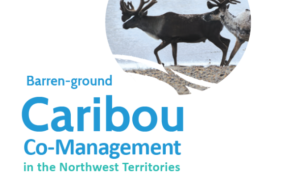 Report cover showing 2 caribou in a circle behind title