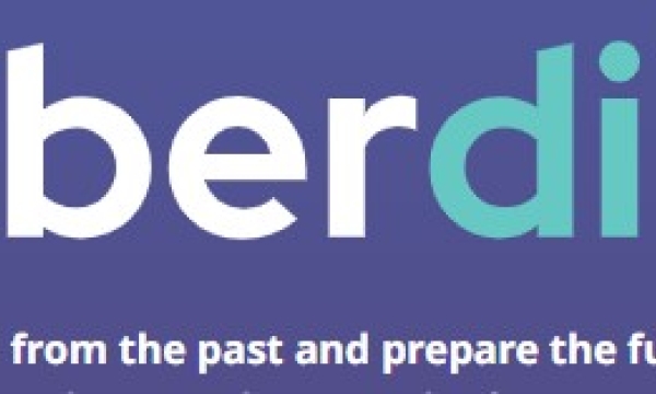 BERDI logo