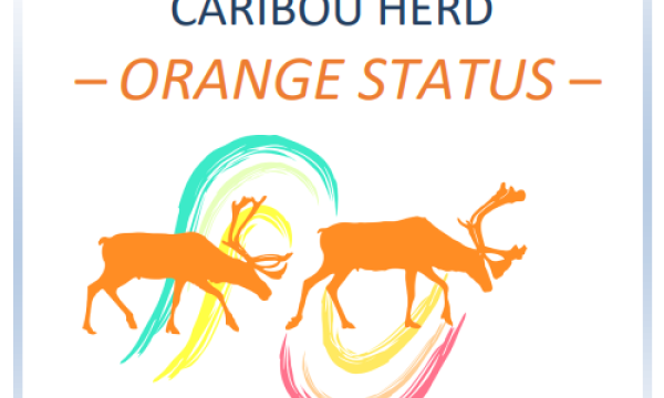 Action Plan for the Bluenose-East Caribou Herd cover page