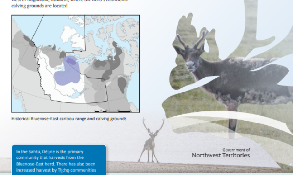 Bluenose-East factsheet page 1