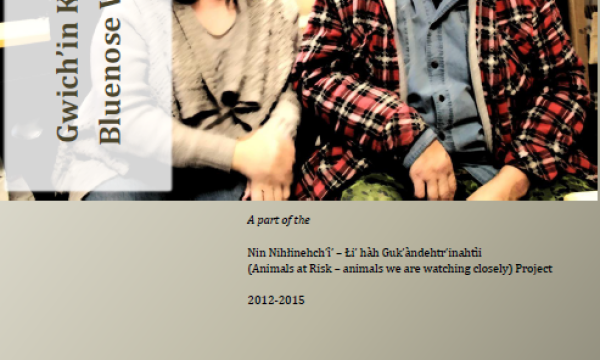 Report cover with a photo of a smiling couple facing the camera