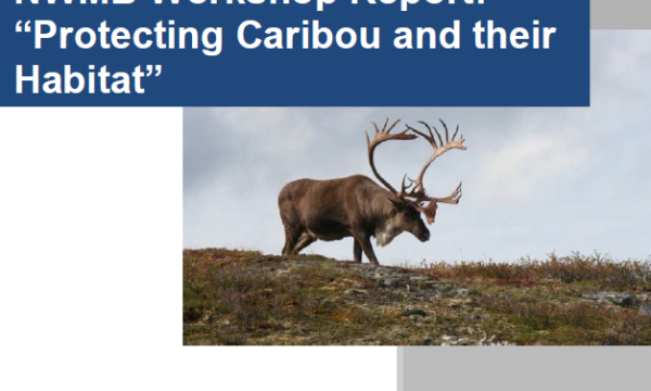 Report cover that includes a photo of a large caribou on the grassy tundra