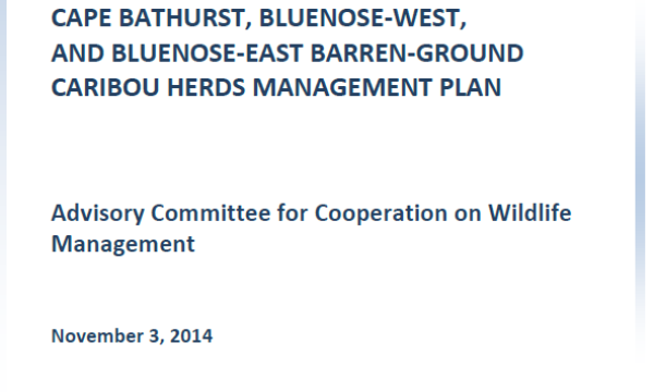 Report cover with photo of 4 caribou walking and feeding in tundra on bottom, and 1 smaller photo of 2 caribou standing on tundra at top left