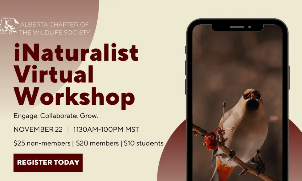 iNaturalist Virtual Workshop