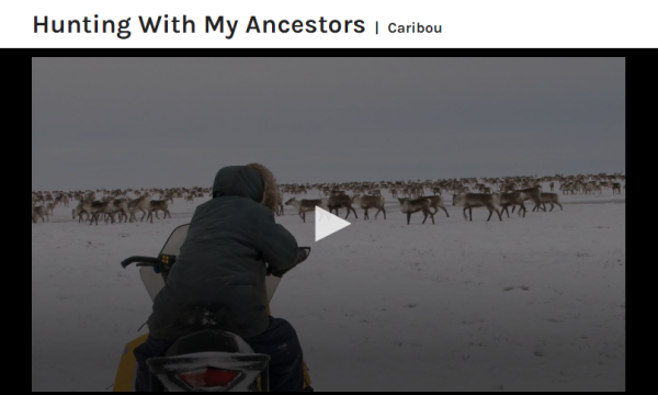 Image of the back of a person on a snowmobile, with a triangle indicating the 'play' icon for a video