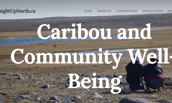 Image of tundra with two people crouched down, facing away from the camera towards a herd of caribou in the distance