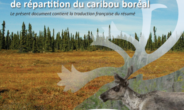 A Framework for Boreal Caribou Range Planning Report Cover