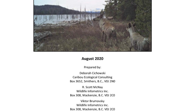 Tweedsmuir-Entiako Caribou (Rangifer tarandus) Tactical Restoration Plan Report Cover