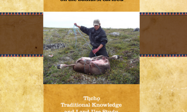 We Live Here for Caribou cover