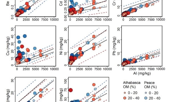 Metals in sediment biofilms