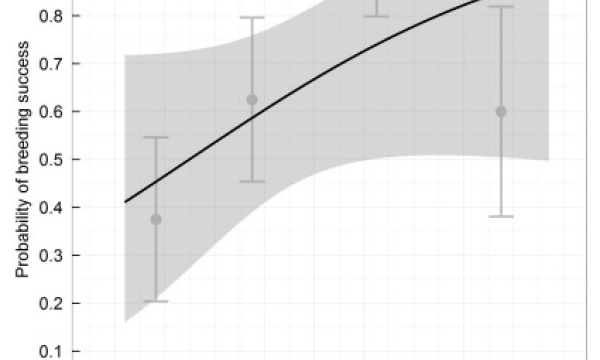 Canada warbler breeding success vs territory size