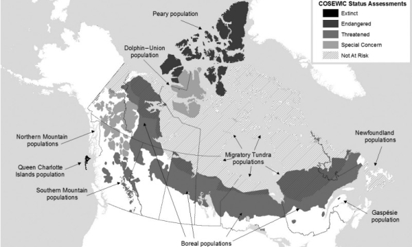 Map of caribou ranges