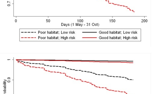 Predicted seasonal survival rates according to varying conditions of high and low resource selection probabilities (i.e., habitat) and wolf predation risk for adult female woodland caribou survival