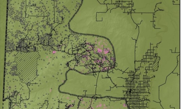 Caribou, roads and wellsites