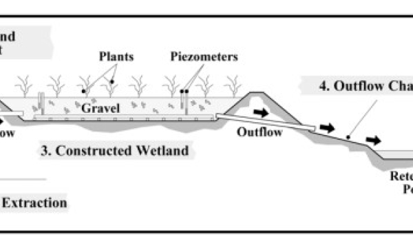 Constructed Wetland Cross-Section