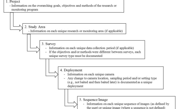 Data structure for wildlife cameras