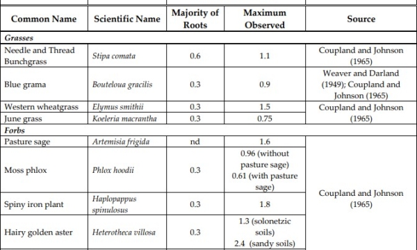 Grassland species rooting depth