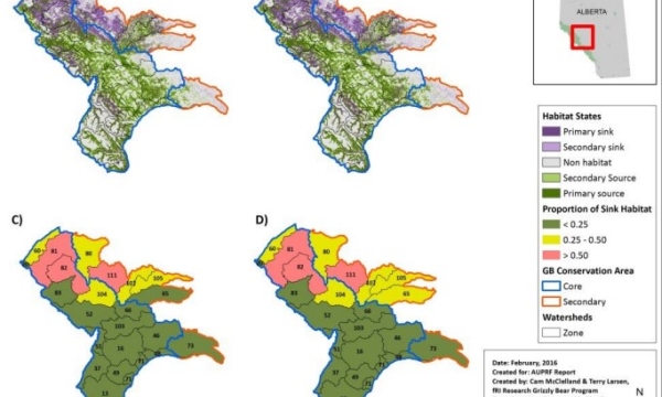 Grizzly bear habitat
