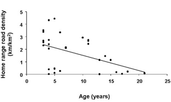 Grizzly bear home range and road density
