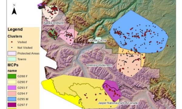 MCPs of all 8 grizzly bears with their sex (F or M) and locations of all clusters from GPS collar locations and those clusters visited