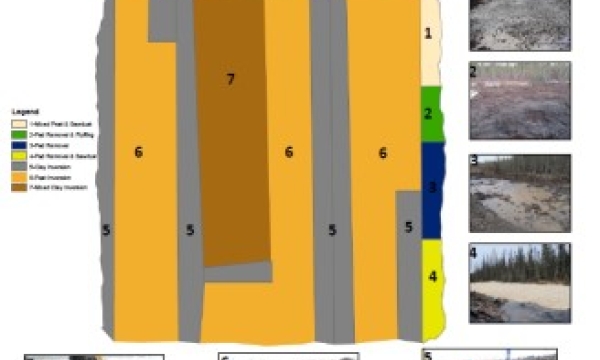 Peat inversion trial layout