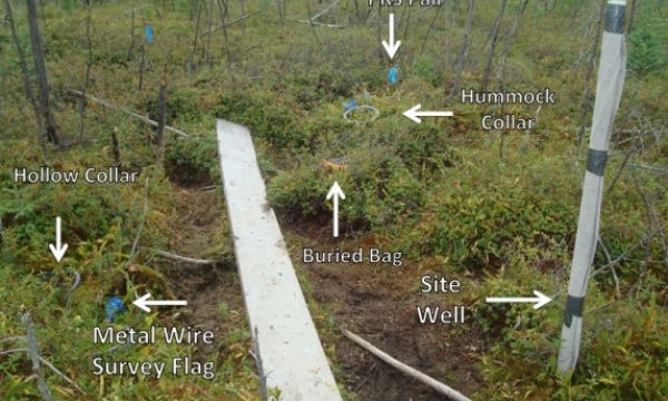 Peatland test site layout