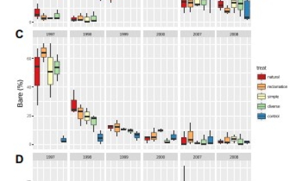 Plant cover by seed mix