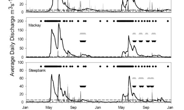 Average daily discharge and precipitation