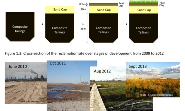 Construction stages for Sandhill Fen