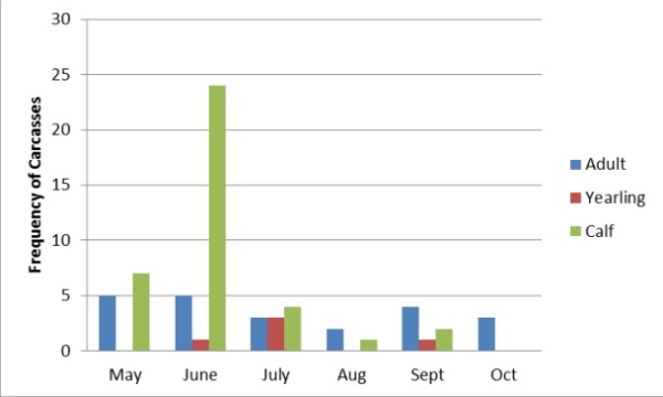 Number of ungulate carcasses by month