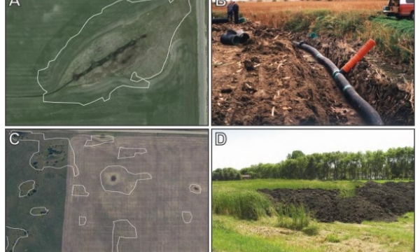 Wetland loss mechanisms