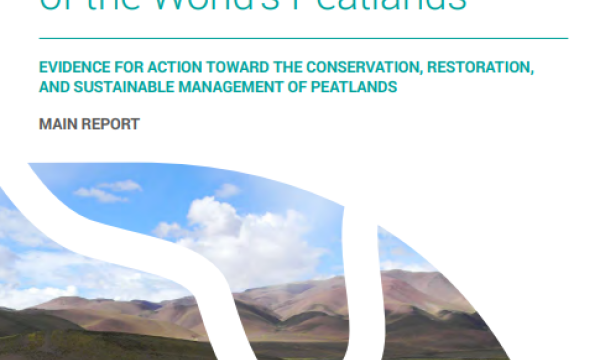 Global Peatland Assessment Cover