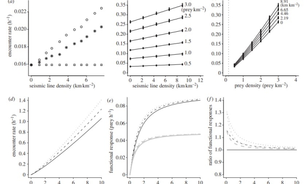Graphs of seismic line density and prey density