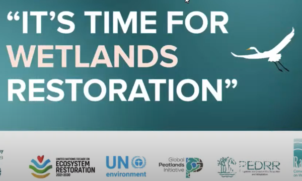 world wetlands day webinar 2023