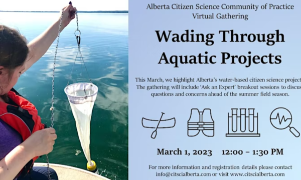 Wading through aquatic projects
