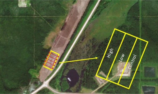 Airstrip biosolids trial layout