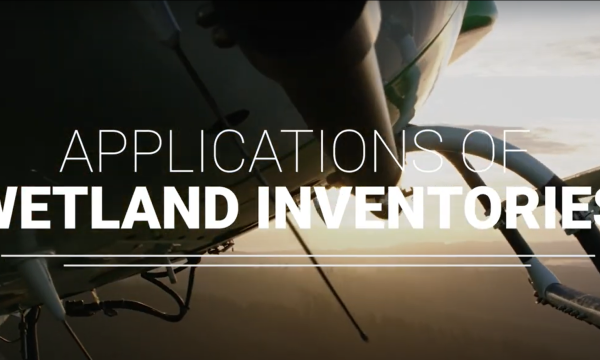 Wetland inventories