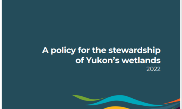 yukon wetland policy