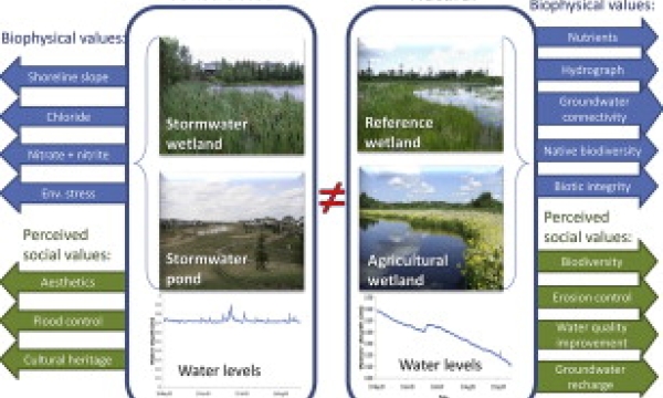 Comparing wetland types