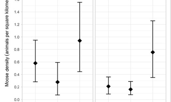 Moose density as a function of forest type