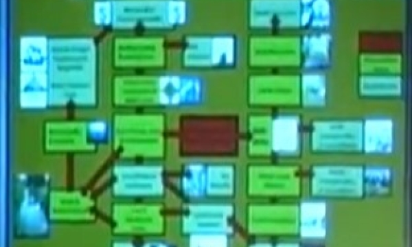 Stelfox - land use planning