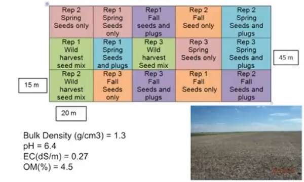 Woosaree plot design