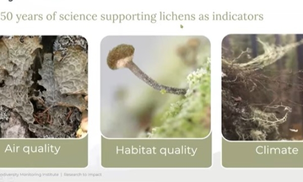 ABMI lichens webinar