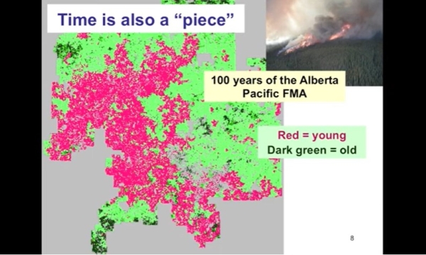 Andison - Ecosystem management