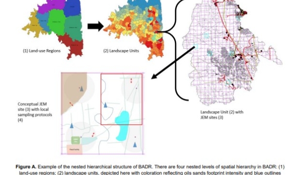 Oil Sands BADR Model