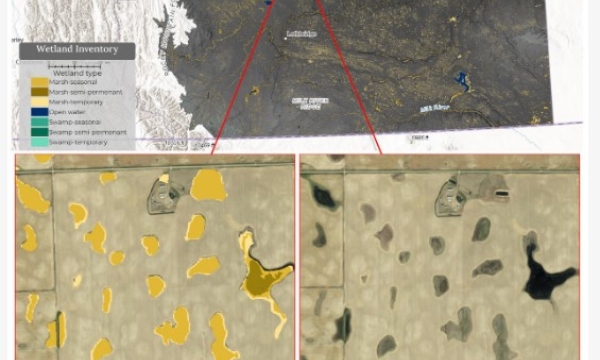 Remote sensing for wetland inventory