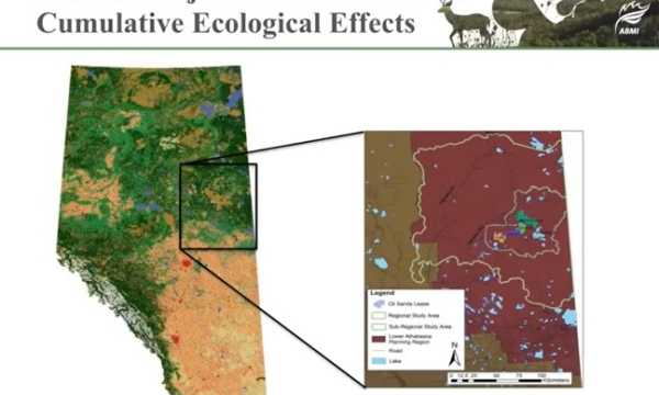 Schieck - Cumulative effects monitoring