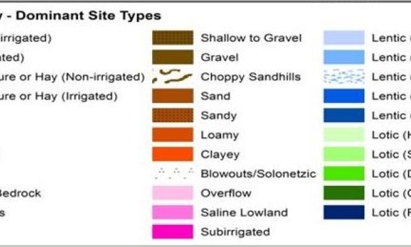 SALMTEC Grassland course