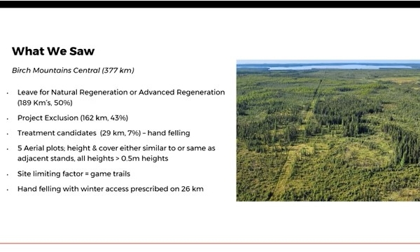 Birch Mountains Seismic Lines